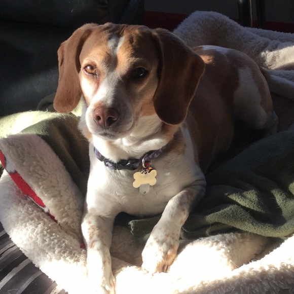 Meet your Posher, Hillary - Picture 2 of 2